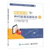 [N]跨境电商B2C数据运营实训(中级跨境电商B2C数据运营1+X证书制度系列教材)-9787121419430