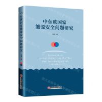 [N]中东欧国家能源安全问题研究-9787513666114