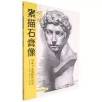 [N]领悟素描石膏像-9787514927672
