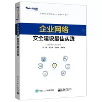 [N]企业网络安全建设最佳实践/奇安信认证网络安全工程师系列丛书-9787121403330