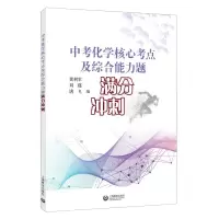 [N]中考化学核心考点及综合能力题满分冲刺-9787572001765