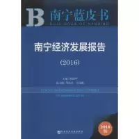 南宁经济发展报告:2016版:2016:2016