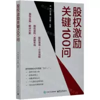 [N]股权激励关键100问-9787121398551