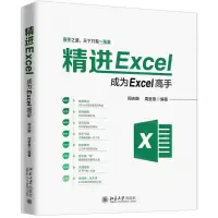 [N]精进Excel(成为Excel高手)-9787301306390