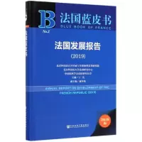 法国发展报告:2019:2019