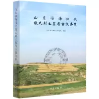 [N]山东沿海汉代墩式封土墓考古报告集(精)-9787501067374