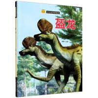 [N]盔龙(精)/恐龙家族的故事-9787558043260