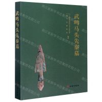 [N]武鸣马头先秦墓(精)-9787501067008