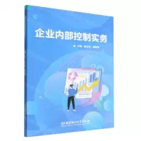 [N]企业内部控制实务-9787576310603