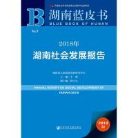 2018年湖南社会发展报告