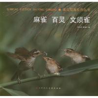 [M]禽鸟写真实用丛书:麻雀.百灵.文须雀-9787530548691