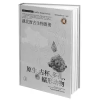 [N]湖北省古生物图册(1原生古杯多孔蠕形动物)(精)-9787570606092
