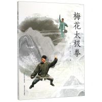 [N]梅花太极拳-9787537760065