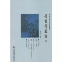 极值与最值:下卷