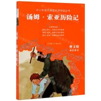[N]汤姆·索亚历险记(无障碍阅读)/中小学语文阅读名师导读丛书-9787558410628