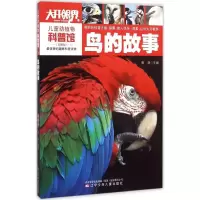 [N]鸟的故事-9787531564584