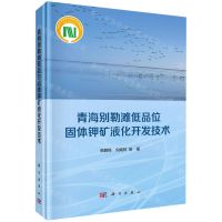 [N]青海别勒滩低品位固体钾矿液化开发技术(精)-9787030641861