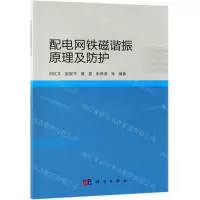 [N]配电网铁磁谐振原理及防护-9787030604347