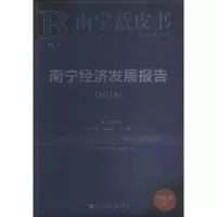 南宁经济发展报告:2018