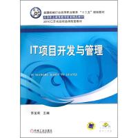 [N]IT项目开发与管理-9787111346258