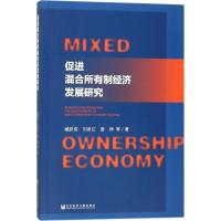 促进混合所有制经济发展研究