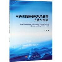 可再生能源系统风险管理:方法与实证