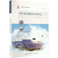 碳中和实现路径国别研究