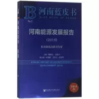 河南能源发展报告(2018):推动能源高质量发展