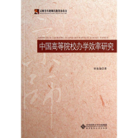 [M]中国高等院校办学效率研究-9787303159024