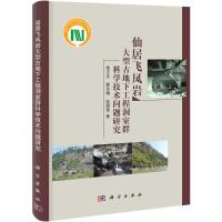 [M]仙居飞凤岩大型古地下工程洞室群科学技术问题研究-9787030328212