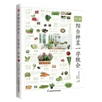 [N]图解阳台种菜一学就会-9787571324872