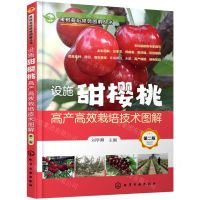 [N]设施甜樱桃高产高效栽培技术图解(第2版)/果树栽培修剪图解丛书-9787122395856