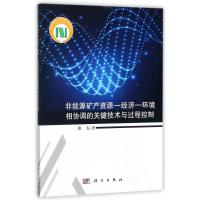 非能源矿产资源-经济-环境相协调的关键技术与过程控制