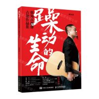 [N]躁动的生命(柴海青指弹吉他作品集)-9787115553560