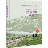 [M]踏遍宝鸡寻遗珍-9787030328786