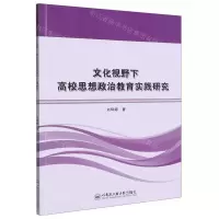 [N]文化视野下高校思想政治教育实践研究-9787566137739