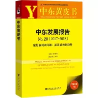 中东发展报告(No.20)-聚焦叙利亚问题:新进展和新趋势(2017-2018)