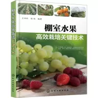 [N]棚室水果高效栽培关键技术-9787122361325