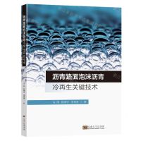 [N]沥青路面泡沫沥青冷再生关键技术-9787576603002