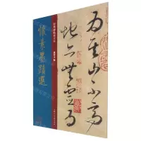 [N]怀素墨迹选/经典碑帖放大本-9787558620799