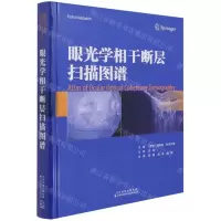 [N]眼光学相干断层扫描图谱(精)-9787543340664