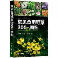 [N]常见食用野菜300种图鉴-9787122387745