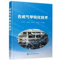 [N]合成气甲烷化技术-9787122367334