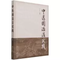 [N]中医围治法实践-9787122398932
