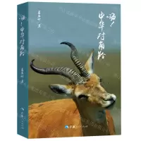 [N]嗨中华对角羚-9787225061238