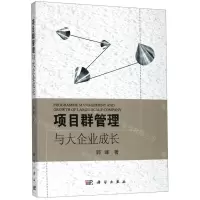 [N]项目群管理与大企业成长-9787030622907
