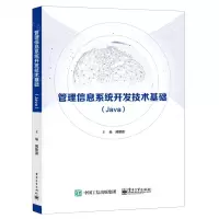[N]管理信息系统开发技术基础(Java)-9787121399794