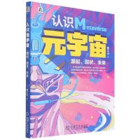 [N]认识元宇宙(源起现状未来)-9787111464242