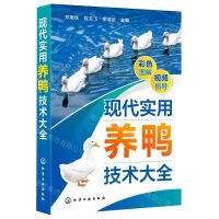 [N]现代实用养鸭技术大全-9787122408174
