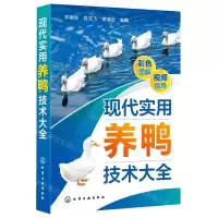 [N]现代实用养鸭技术大全-9787122408174